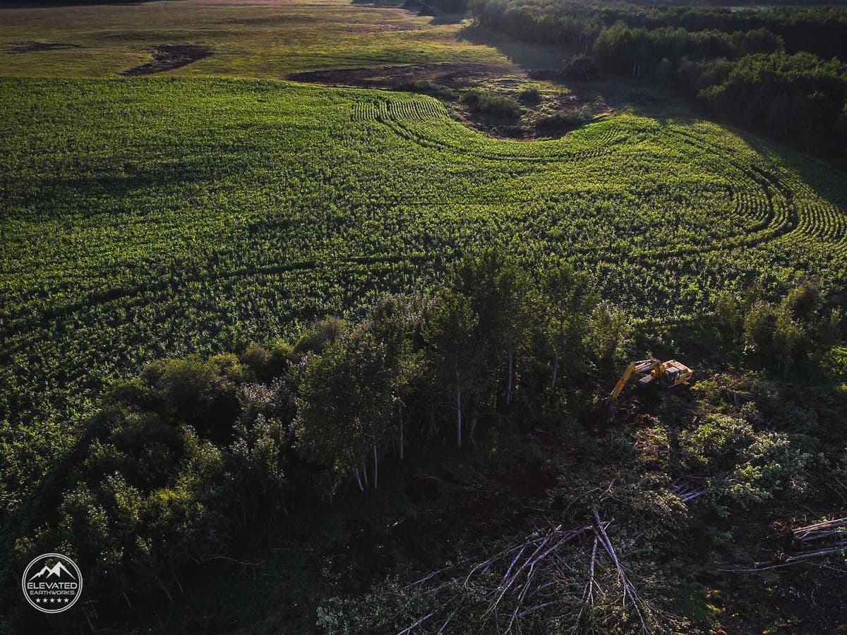 Land clearing operations