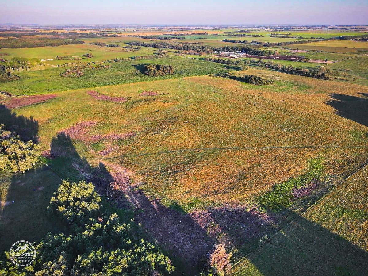 Land clearing project 8